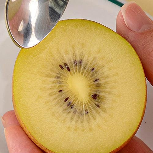 제스프리 골드키위  특대과/점보